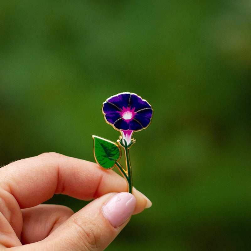 Pin on Birth flowers